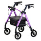 Nova Star Standard Heavy Duty Rollator, 450 lbs. Weight Capacity 4289